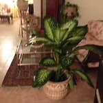 Very Homely And Welcoming Apartment