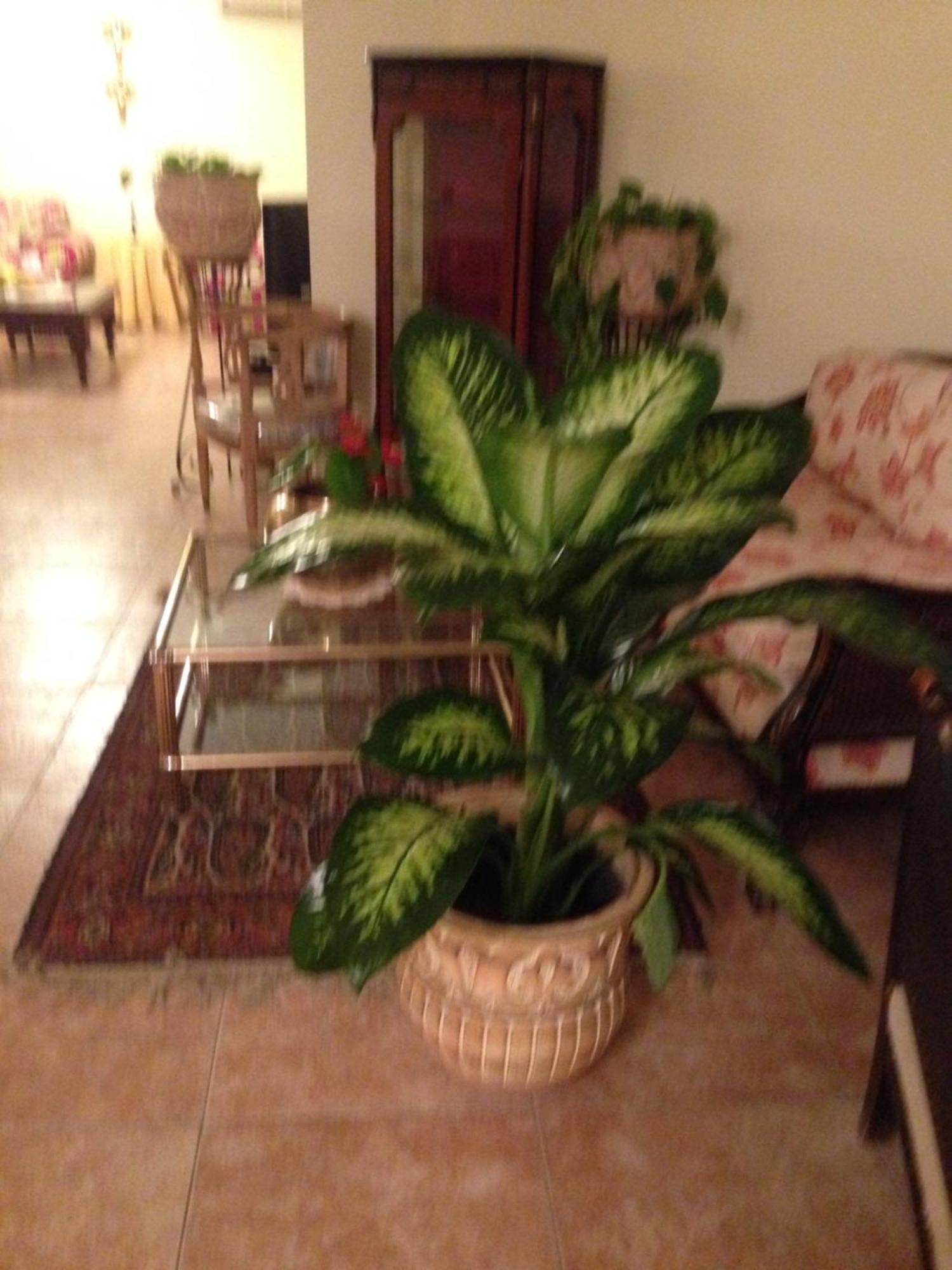 Apartamento Very Homely And Welcoming *